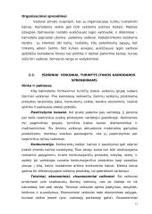 Kainodaros organizavimas: M. Kodžio personalinė įmonė 12 puslapis