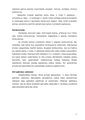 Kainodaros organizavimas: M. Kodžio personalinė įmonė 13 puslapis