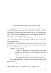 Kainodaros organizavimas: M. Kodžio personalinė įmonė 15 puslapis