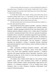 Kainodaros organizavimas: M. Kodžio personalinė įmonė 16 puslapis