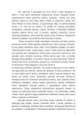 Kainodaros organizavimas: M. Kodžio personalinė įmonė 3 puslapis