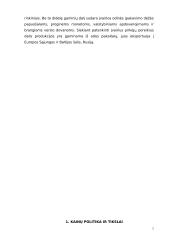 Kainodaros organizavimas: M. Kodžio personalinė įmonė 5 puslapis