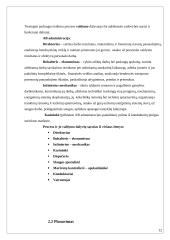 Paslaugos teikimo proceso valdymo praktika: kelių pervežimas traukiniais AB "Kupiškio geležinkelio stotis" 12 puslapis