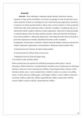 Paslaugos teikimo proceso valdymo praktika: kelių pervežimas traukiniais AB "Kupiškio geležinkelio stotis" 10 puslapis