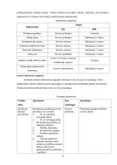 Paslaugų analizė: servisas "Volvo Trucks of Lithuania" 13 puslapis