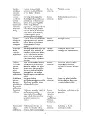 Paslaugų analizė: servisas "Volvo Trucks of Lithuania" 14 puslapis