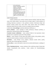 Paslaugų analizė: servisas "Volvo Trucks of Lithuania" 16 puslapis