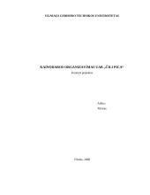 Kainodaros organizavimas: UAB "Čili pica"