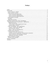 Kainodaros organizavimas: UAB "Čili pica" 2 puslapis