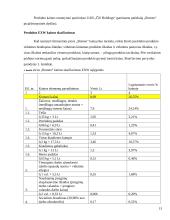 Kainodaros organizavimas: UAB "Čili pica" 13 puslapis