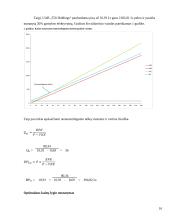 Kainodaros organizavimas: UAB "Čili pica" 16 puslapis