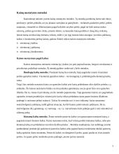 Kainodaros organizavimas: UAB "Čili pica" 5 puslapis