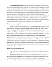 Kainodaros organizavimas: UAB "Čili pica" 6 puslapis