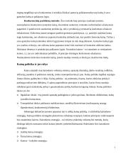 Kainodaros organizavimas: UAB "Čili pica" 7 puslapis