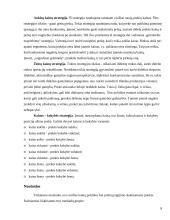 Kainodaros organizavimas: UAB "Čili pica" 8 puslapis