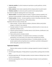 Kainodaros organizavimas: UAB "Čili pica" 9 puslapis