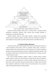 Pastato ir jam teikiamų paslaugų kokybės valdymas 14 puslapis