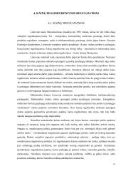 Kainų ir konkurencijos valstybinis reguliavimas 16 puslapis