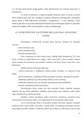 Kainų ir konkurencijos valstybinis reguliavimas 20 puslapis