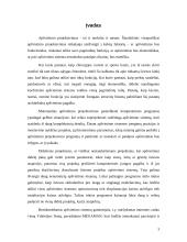 Patalpos apšvietimo sistemos projektavimas 2 puslapis