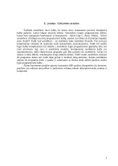 Komandos JMP aprašymas 3 puslapis