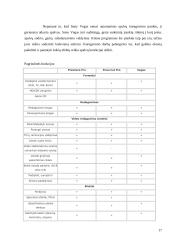 Kompiuterinis vaizdų redagavimas 17 puslapis