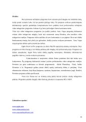 Kompiuterinis vaizdų redagavimas 19 puslapis