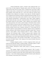 Kompiuterinis vaizdų redagavimas 3 puslapis