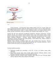 Pavojingų gamtos reiškinių paplitimas pasaulyje 14 puslapis