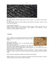 Pavojingų gamtos reiškinių paplitimas pasaulyje 16 puslapis