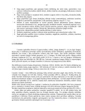 Pavojingų gamtos reiškinių paplitimas pasaulyje 10 puslapis