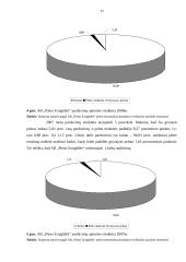 Pelno bei jo pasiskirstymo analizė: AB "Pieno žvaigždės" 16 puslapis