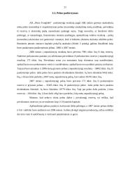 Pelno bei jo pasiskirstymo analizė: AB "Pieno žvaigždės" 20 puslapis