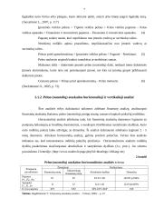 Pelno bei jo pasiskirstymo analizė: AB "Pieno žvaigždės" 6 puslapis