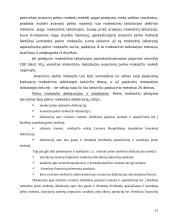 Pelno mokesčio apskaita: baldų gamybos įmonėje 12 puslapis