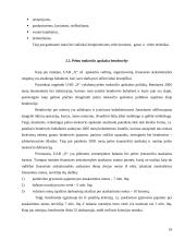 Pelno mokesčio apskaita: baldų gamybos įmonėje 19 puslapis