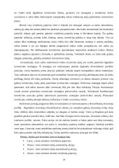 Pensijų fondai 13 puslapis