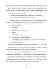 Pensijų fondai 17 puslapis