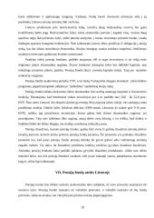 Pensijų fondai 19 puslapis