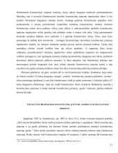 Konstituciniai įstatymai, jų reikšmė ir paskirtis 11 puslapis