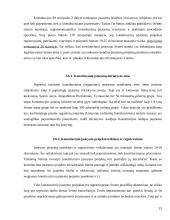 Konstituciniai įstatymai, jų reikšmė ir paskirtis 15 puslapis