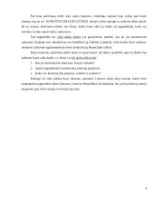 Konstituciniai įstatymai, jų reikšmė ir paskirtis 4 puslapis