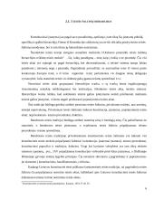 Konstituciniai įstatymai, jų reikšmė ir paskirtis 6 puslapis