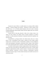 Korupcija viešajame administravime 2 puslapis