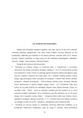 Korupcija viešajame administravime 13 puslapis