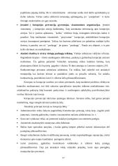 Korupcija viešajame administravime 17 puslapis