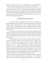 Korupcija viešajame administravime 19 puslapis