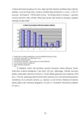 Korupcija viešajame administravime 20 puslapis