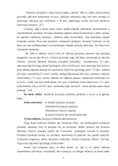 Korupcija viešajame administravime 3 puslapis