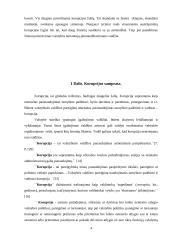 Korupcija viešajame administravime 4 puslapis